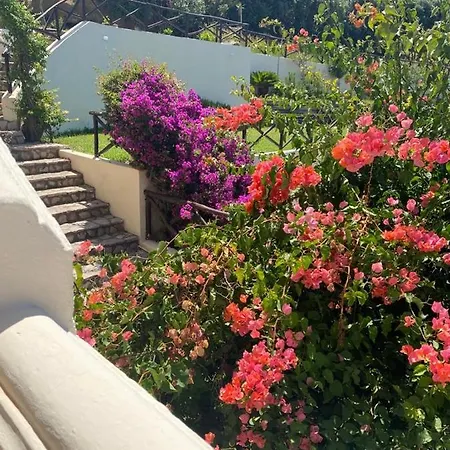 Il Gabbiano パリヌロ