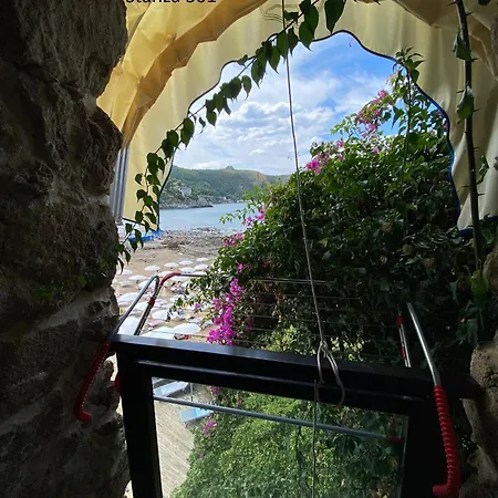 Il Gabbiano Palinuro